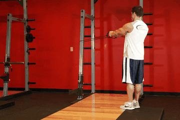 Back Flyes - With Bands exercise demonstration targeting Shoulders