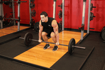 Barbell Deadlift exercise demonstration targeting Lower Back