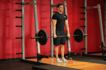 Barbell Shrug exercise demonstration targeting Traps