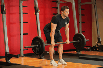 Bent-Over Barbell Row exercise demonstration targeting Middle Back