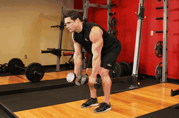 Bent Over Two-Dumbbell Row exercise demonstration targeting Middle Back