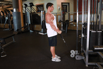 Cable Rope Hammer Curl exercise demonstration targeting Biceps