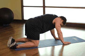 Cat Stretch exercise demonstration targeting Lower Back