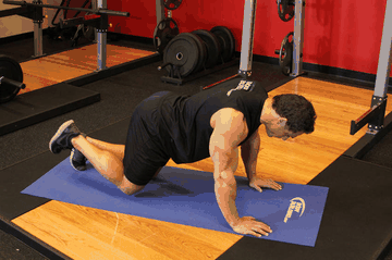 Donkey Kick exercise demonstration targeting Glutes