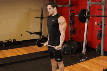 Drag Curl exercise demonstration targeting Biceps