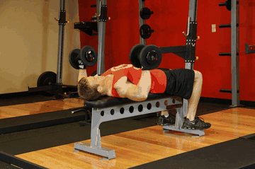Dumbbell Bench Press exercise demonstration targeting Chest