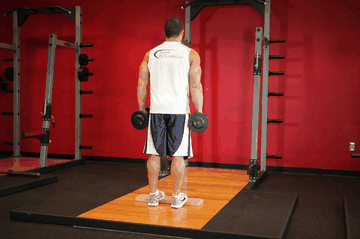 Dumbbell Calf Raise exercise demonstration targeting Calves