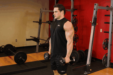 Dumbbell Raise exercise demonstration targeting Shoulders