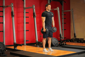 Dumbbell Romanian Deadlift exercise demonstration targeting Hamstrings