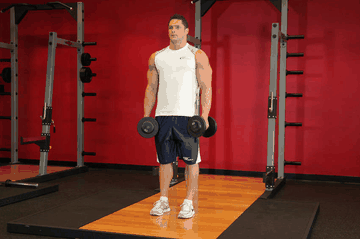 Dumbbell Shrug exercise demonstration targeting Traps