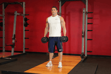 Dumbbell Squat exercise demonstration targeting Quadriceps