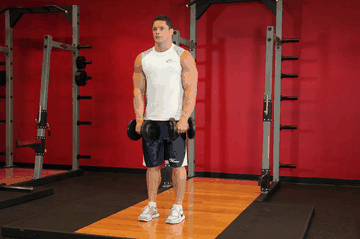 Front Two-Dumbbell Raise exercise demonstration targeting Shoulders