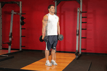 Hammer Curl exercise demonstration targeting Biceps