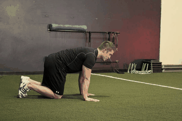 Hip Circles (prone) exercise demonstration targeting Abductors