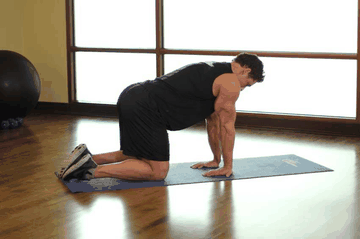 Kneeling Forearm Stretch exercise demonstration targeting Forearms