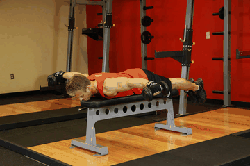 Lying Rear Delt Raise exercise demonstration targeting Shoulders