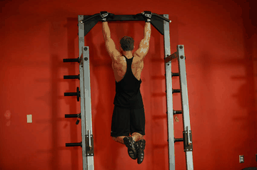 Pull-Up exercise demonstration targeting Lats