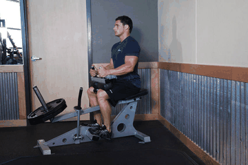 Seated Calf Raise exercise demonstration targeting Calves