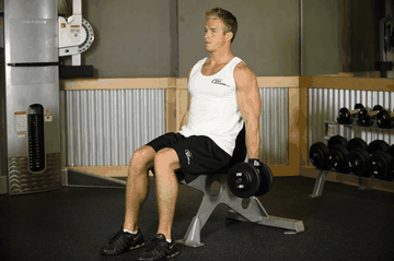Seated Dumbbell Curl exercise demonstration targeting Biceps