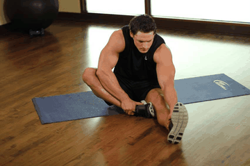 Seated Floor Hamstring Stretch exercise demonstration targeting Hamstrings
