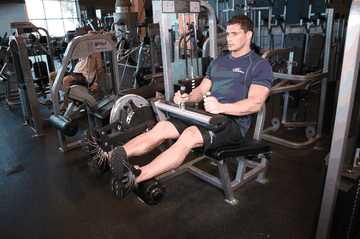 Seated Leg Curl exercise demonstration targeting Hamstrings
