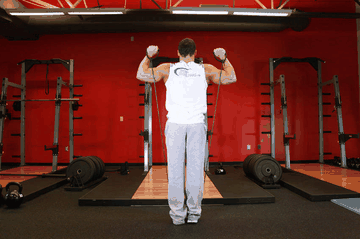 Shoulder Press - With Bands exercise demonstration targeting Shoulders