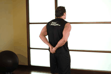 Standing Biceps Stretch exercise demonstration targeting Biceps