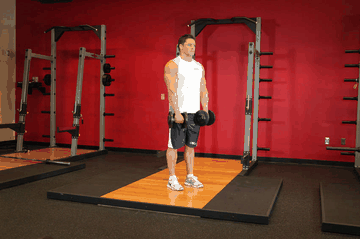 Standing Dumbbell Reverse Curl exercise demonstration targeting Biceps