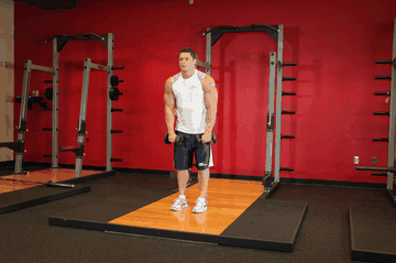 Standing Dumbbell Straight-Arm Front Delt Raise Above Head exercise demonstration targeting Shoulders