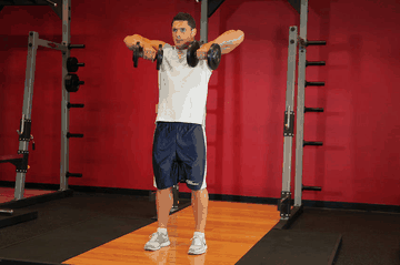 Standing Dumbbell Upright Row exercise demonstration targeting Traps