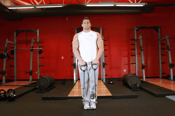 Upright Row - With Bands exercise demonstration targeting Traps